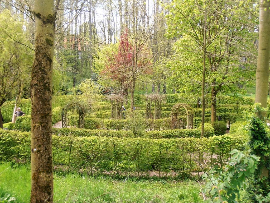פלוטו Gasthaus Schadde מראה חיצוני תמונה
